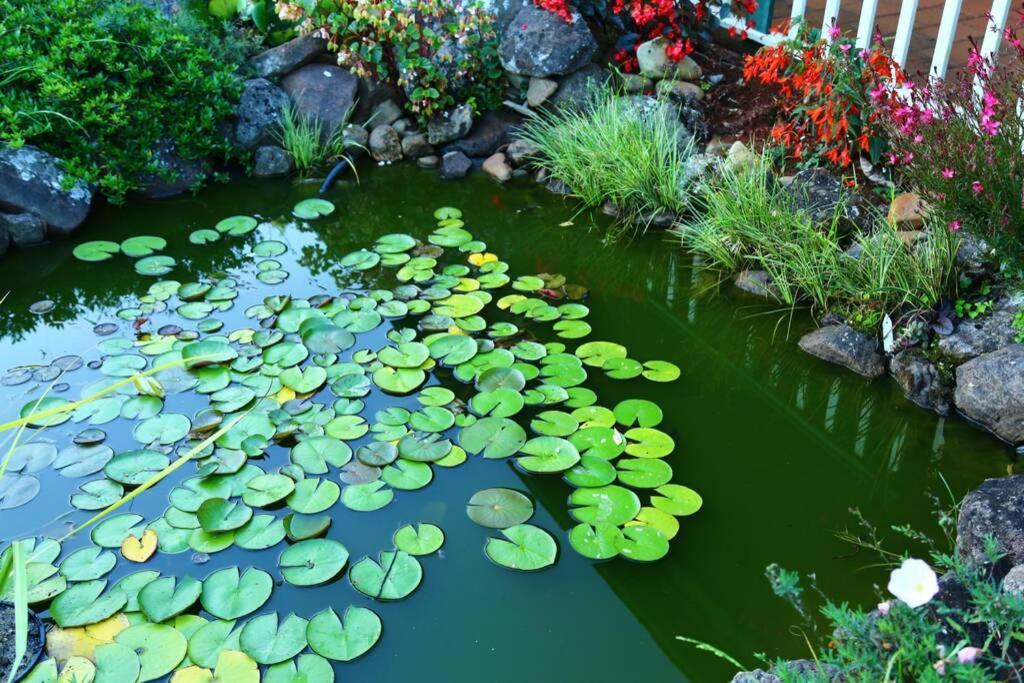 Bundara - Idyllic Getaway In The Mountains Apartment Mount Tamborine Luaran gambar
